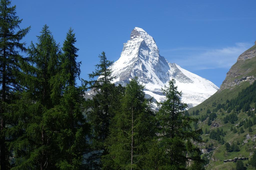 Studio Collinetta Apartment Zermatt Room photo